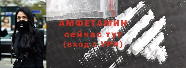 шишки Белокуриха