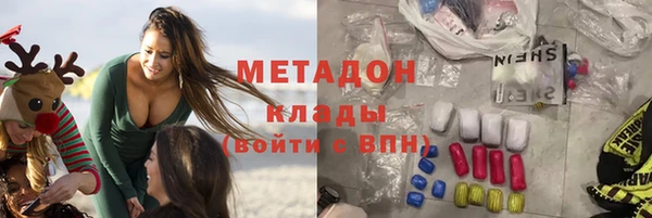 шишки Белокуриха