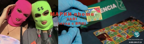 шишки Белокуриха