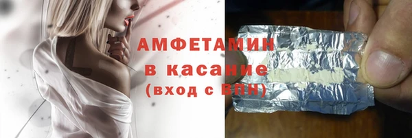 шишки Белокуриха
