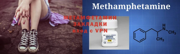 шишки Белокуриха