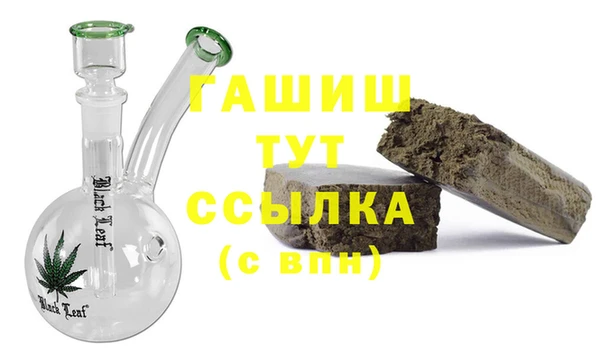 шишки Белокуриха