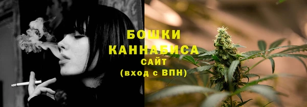 шишки Белокуриха