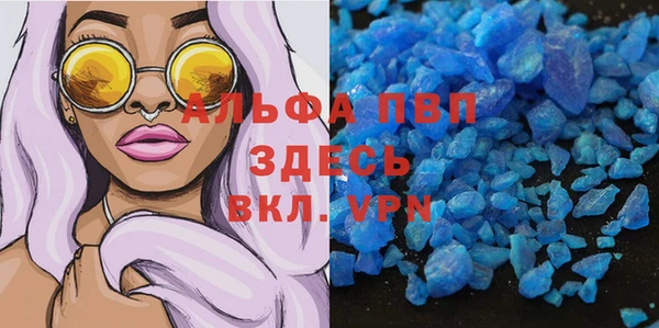 шишки Белокуриха
