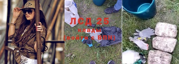 шишки Белокуриха