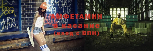 шишки Белокуриха