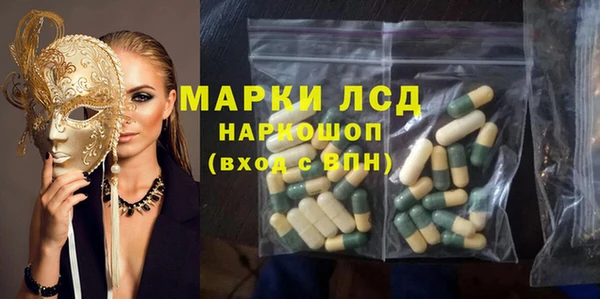 шишки Белокуриха