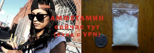 шишки Белокуриха