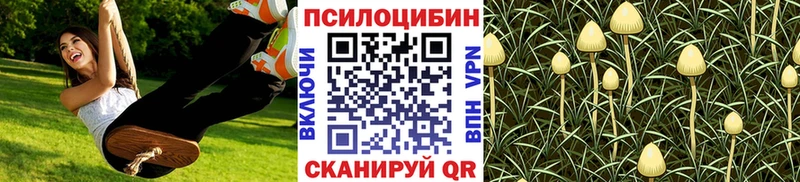 Галлюциногенные грибы прущие грибы  наркотики  Кропоткин 